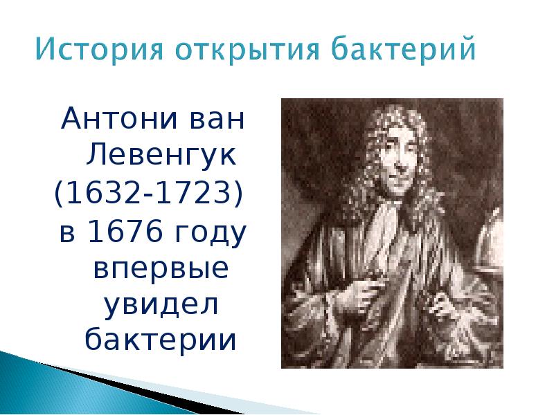 Какой метод использовал антони ван левенгук