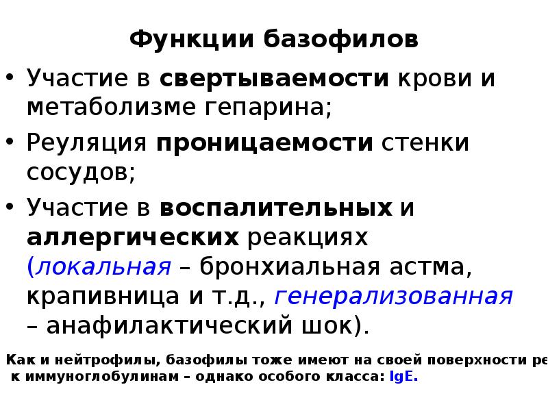 Базофилы строение. Базофилы функции иммунология. Цели и задачи туризма. Базофилы аллергические реакции. Основная функция базофилов.