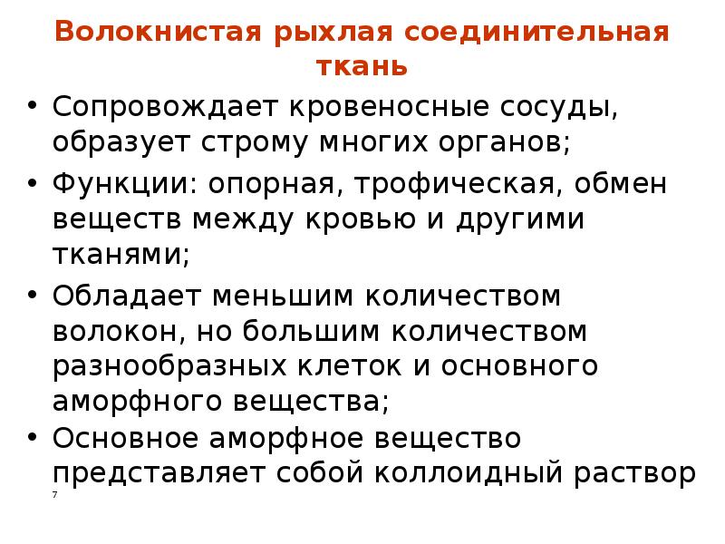 Рыхлая волокнистая соединительная ткань функции. Рыхлая волокнистая соединительная ткань функции
