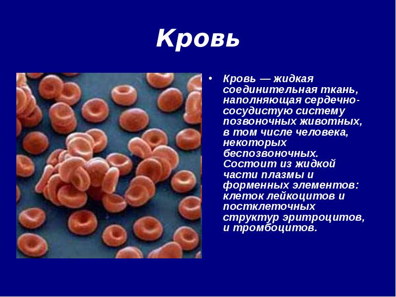 Кровь это жидкая ткань. Кровь человека состоит из жидкой части. Кровь состоит из форменных элементов и. Кровь млекопитающих состоит из жидкой части и форменных элементов. Кровь млекопитающих состоит из жидкой части.