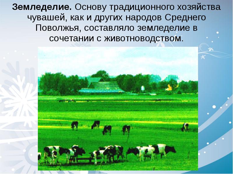 Чуваши хозяйство. Чуваши земледелие. Традиционное хозяйство чувашей. Народные промыслы Волго Вятского района.