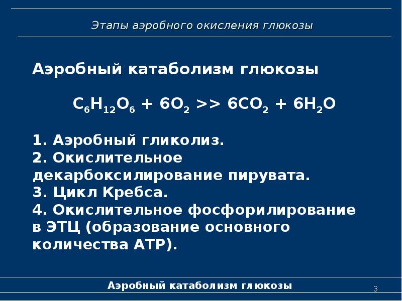 Окисление глюкозы. Этапы анаэробного окисления Глюкозы. Промежуточный продукт аэробного окисления Глюкозы:. Этапы аэробного окисления. Этапы аэробного окисления Глюкозы.