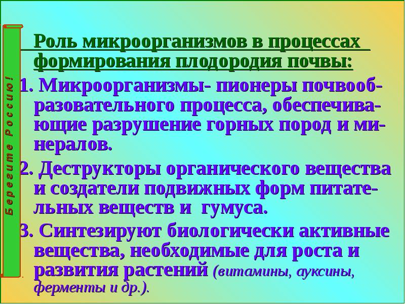 Микроорганизмы и плодородие почвы. Роль микроорганизмов в почвообразовании. Роль микроорганизмов в плодородии почвы. Роль микроорганизмов в почвообразовательном процессе. Роль микроорганизмов в почве.