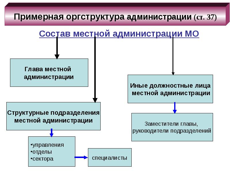 Местная администрация презентация