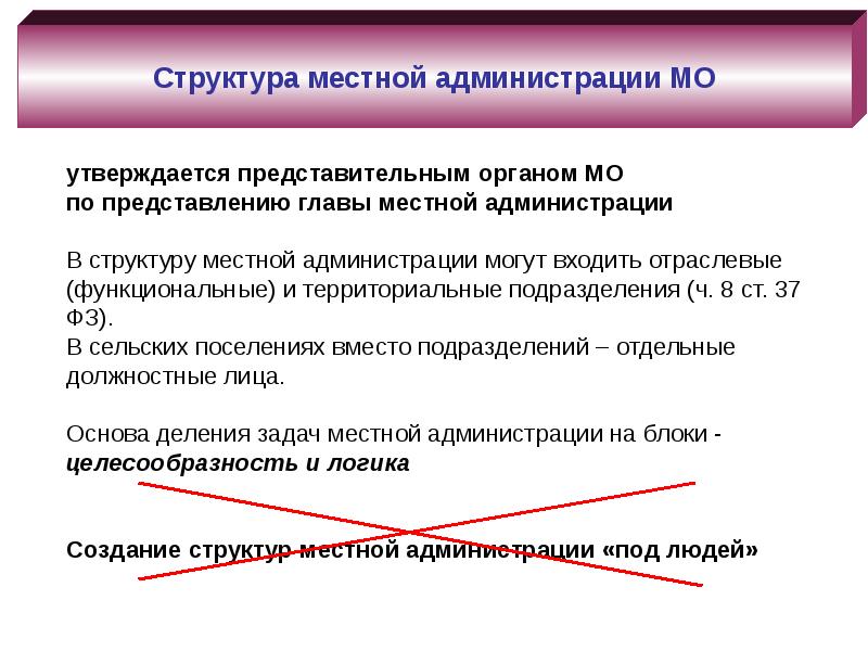 Местная администрация презентация