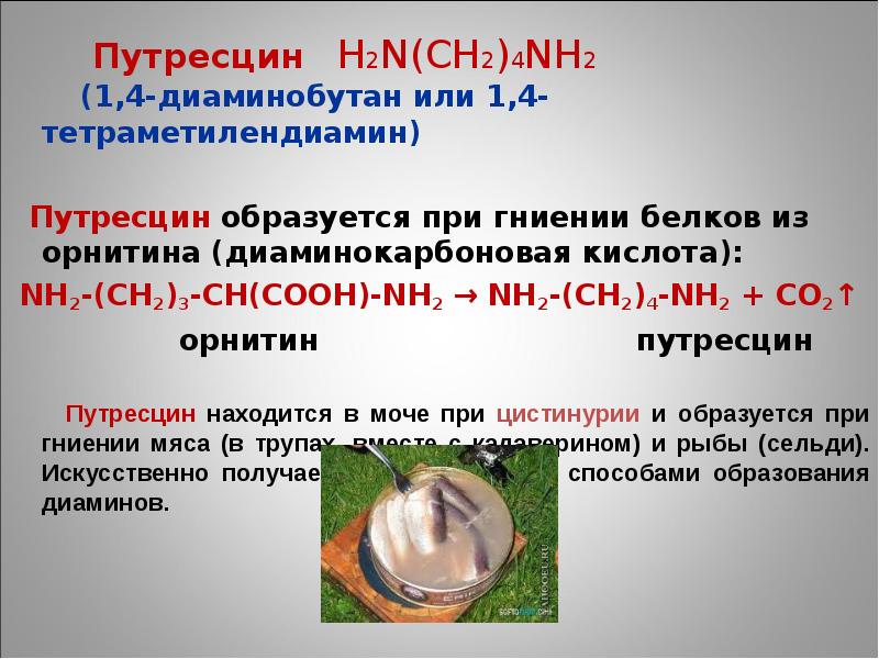 Кадаверин это. Орнитин в путресцин. Путресцин формула. Реакция образования путресцина. Путресцин и кадаверин.