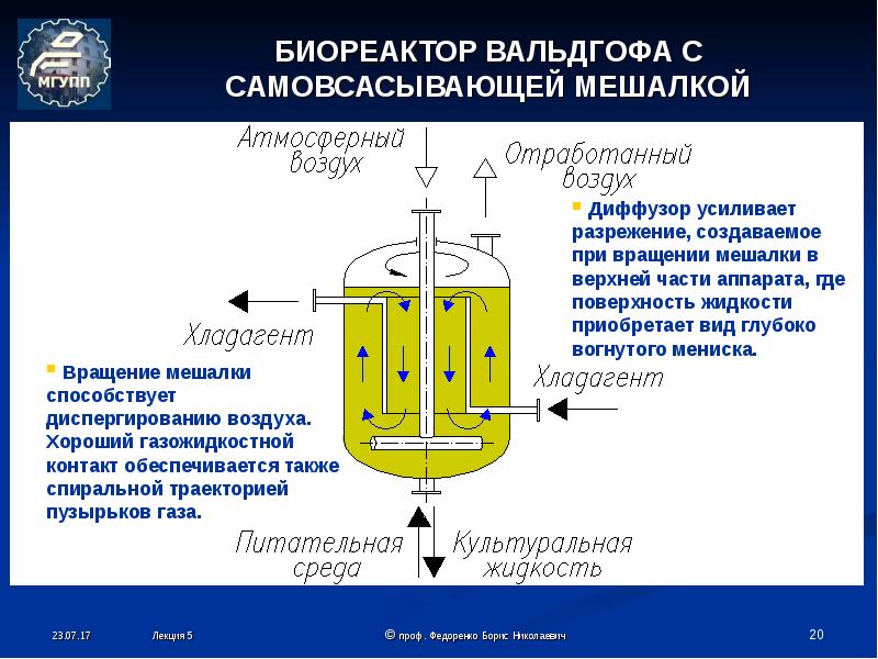 Аэробные бактерии культивирование