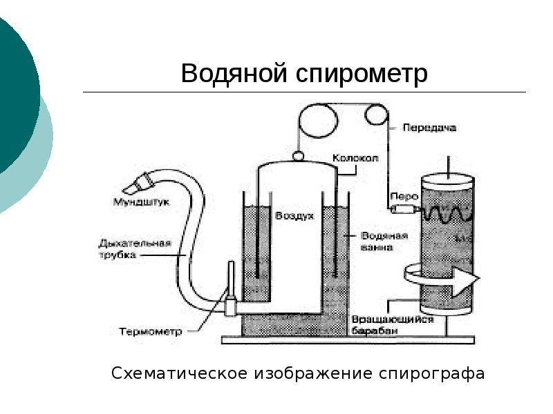 Спирометрия. Внешнее дыхание