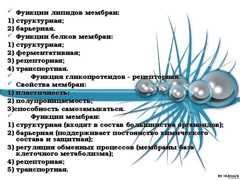 Функции белков липидов. Функция липидов в клеточной мембране. Функции липидов в мембране клетки. Функции фосфолипидов в клеточной мембране. Функции мембранных липидов.