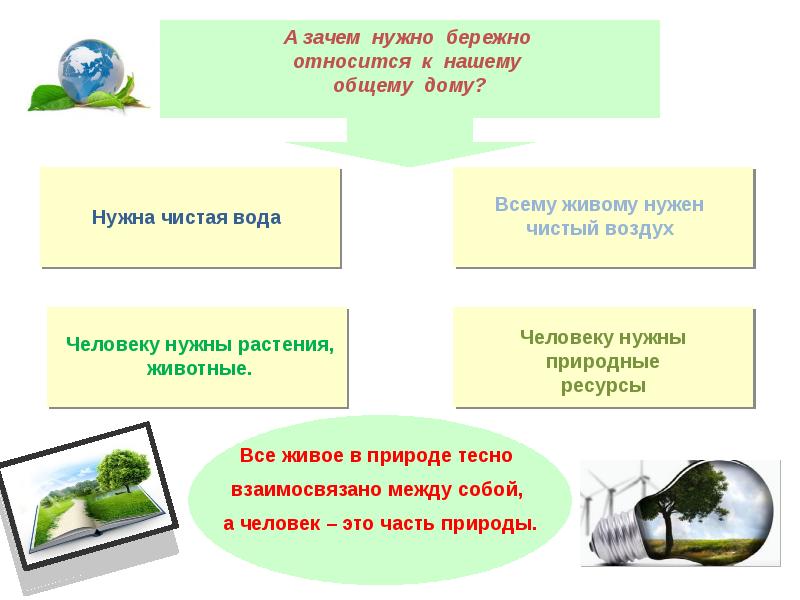 Бережное отношение к животным презентация