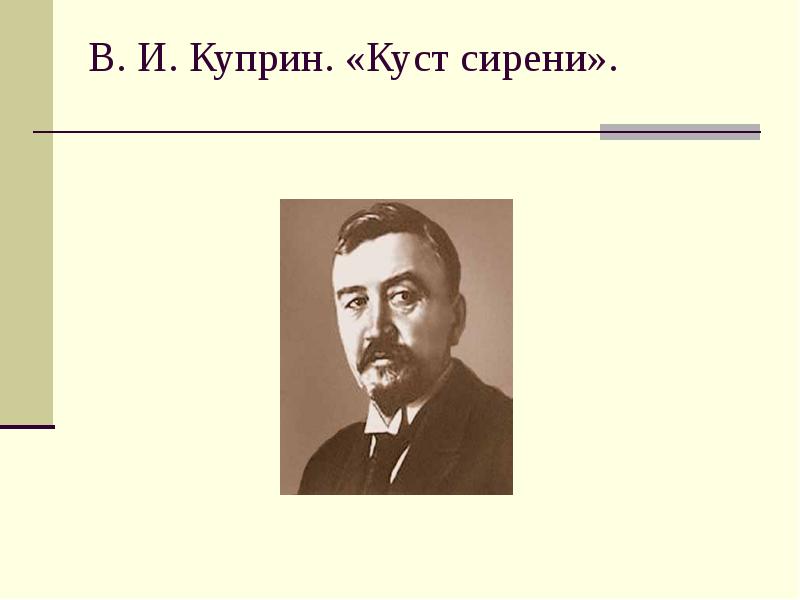 Чему учит куст сирени куприн