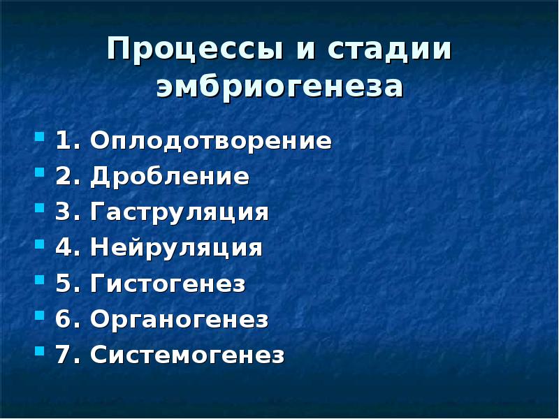 5 1 1 оплодотворение. Системогенез стадия эмбриогенеза. Эмбриология стадии. Стадия системогенеза эмбриология. Системогенез это в эмбриологии.