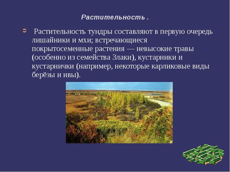 Особенности тундры и лесотундры. Тип растительности в лесотундре. Лесотундра 4 класс презентация. Растительность тундры составляют. Характерный Тип растительности на территории тундры.