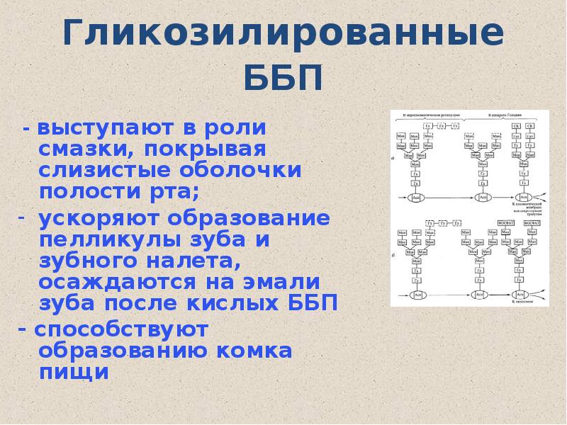 Биохимия картофеля презентация