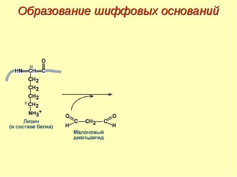 Диальдегид. Образование шиффовых оснований. Шиффовы основания биохимия. Реакция образования шиффовых оснований. Механизм образования шиффовых оснований.