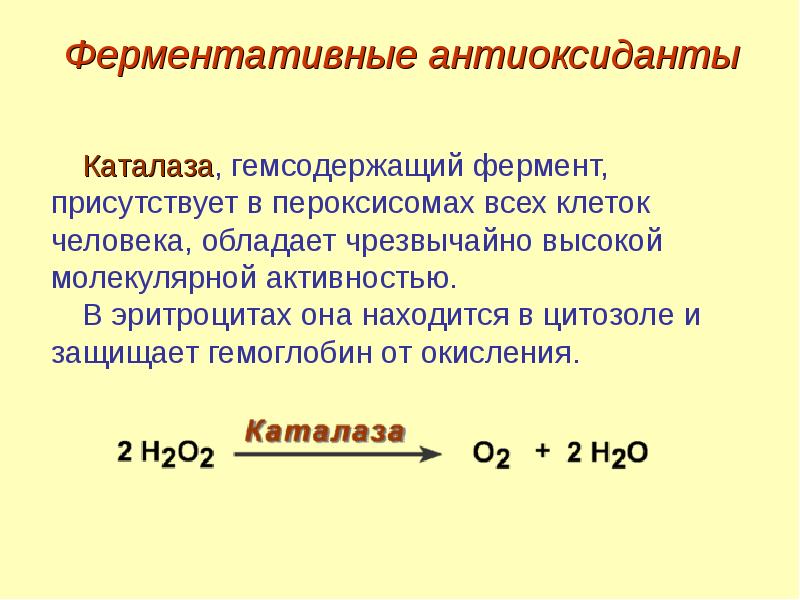 Что такое биологическое окисление