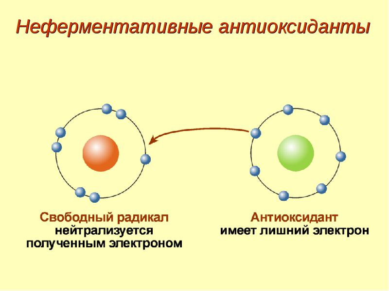 Избыточные электроны. Неферментативные антиоксиданты. Неферментативная антиоксидантная система. Антиоксидантным действием обладают. Антиоксиданты биохимия.