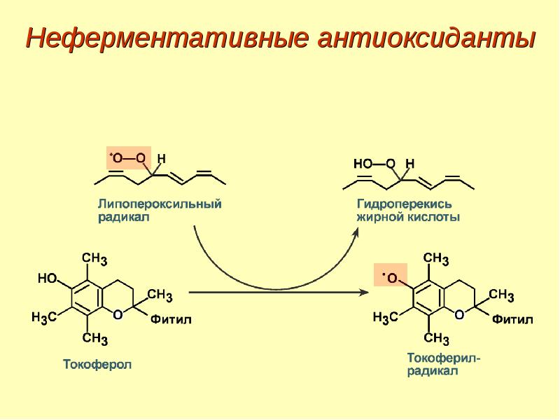 Современная схема биологического окисления