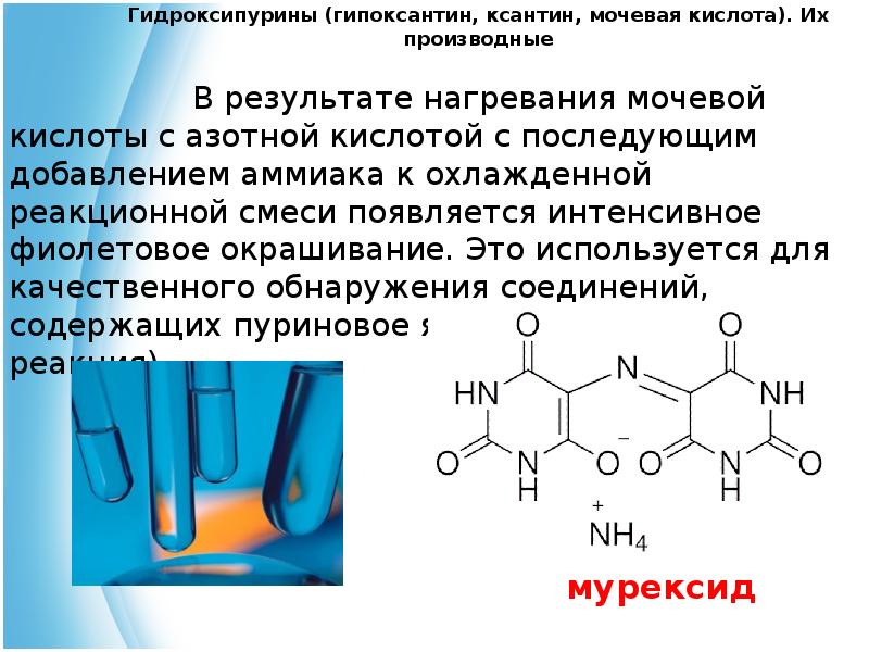 Против мочевой кислоты. Гипоксантин ксантин мочевая кислота. Пурин производные ксантин. Гидроксипурины (мочевая кислота, ксантин, витамин в1). Мочевая кислота (uric acid).
