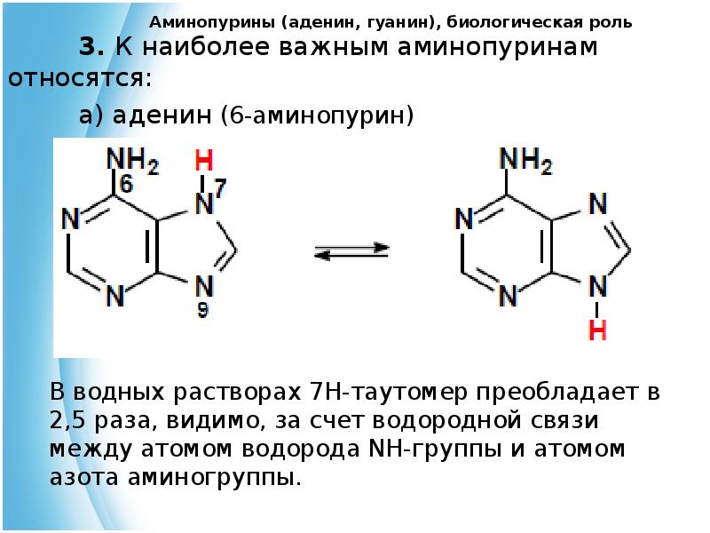 Содержит аденин. Пуриновые основания аденин (6-аминопурин). Амино иминная таутомерия аденина. Аденин гуанин Пурин химическая структура. Роль аденина.