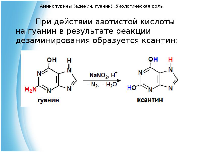 Пурины это. Дезаминирование гуанина реакция. Гуанин с азотистой кислотой реакция. Реакции дезаминирования аденина и гуанина. Дезаминирование гуанина.