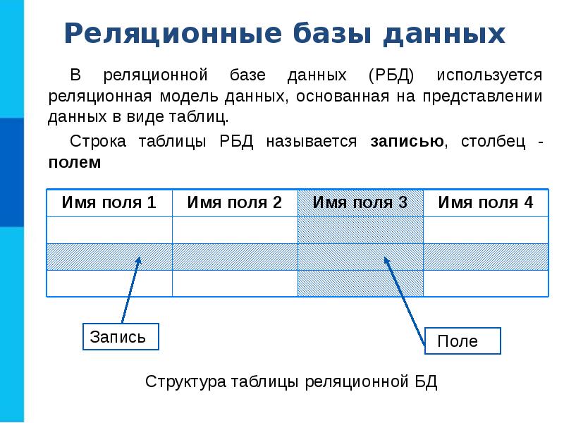 Таблица базы данных состоит из