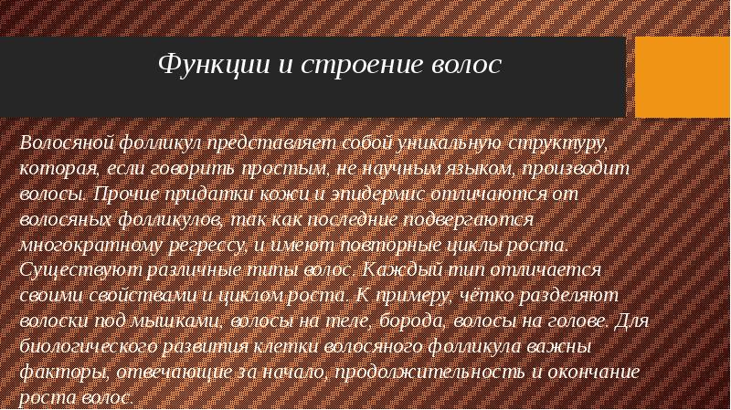 Функции волос. Функции волос на теле человека. Назначение и функции волос. Функция волос на голове.