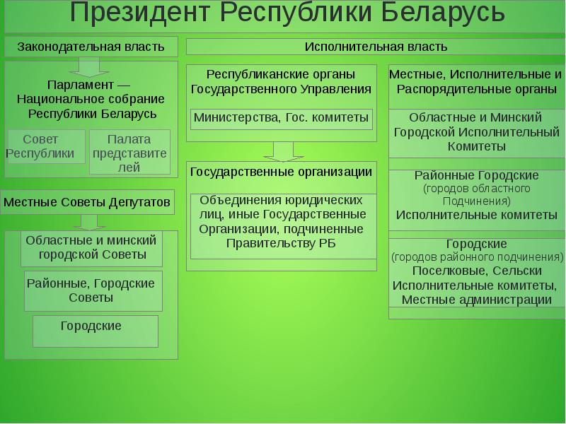 Законодательная власть и исполнительная власть презентация