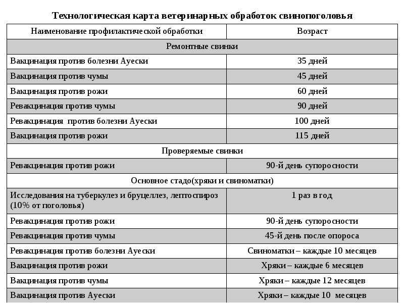 Технологическая карта свиноводство