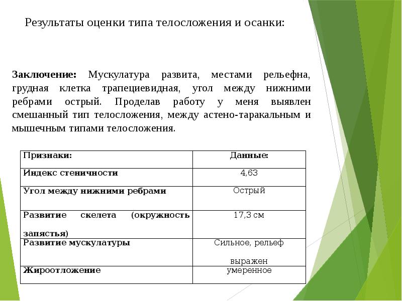 Результаты оценки типа телосложения и осанки: