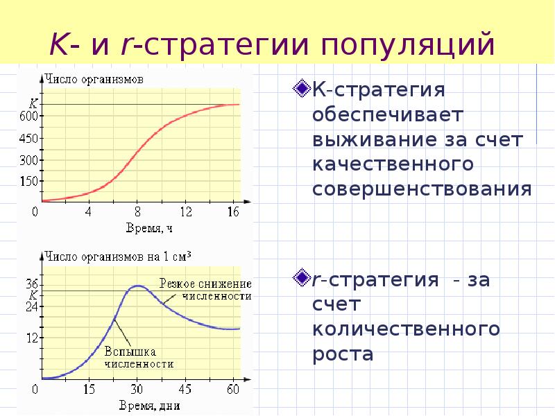 Р кривая. Экологические стратегии популяций. Стратегии выживания популяций. Типы кривых роста популяции. Стратегии размножения популяции.