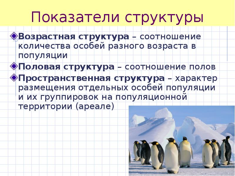 Количество особей. Структура и динамика популяций. Показатели структуры популяции. Структуры популяции в биологии. Картинки на тему популяция.