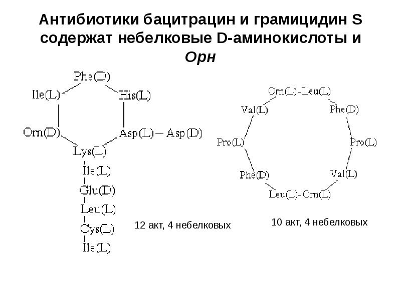 Антибиотики бацитрацин и грамицидин S содержат небелковые D-аминокислоты и Орн