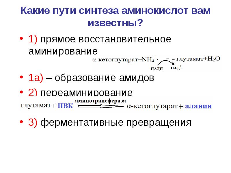 Синтез аминокислот