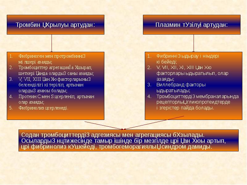 Тшқұ синдромы презентация