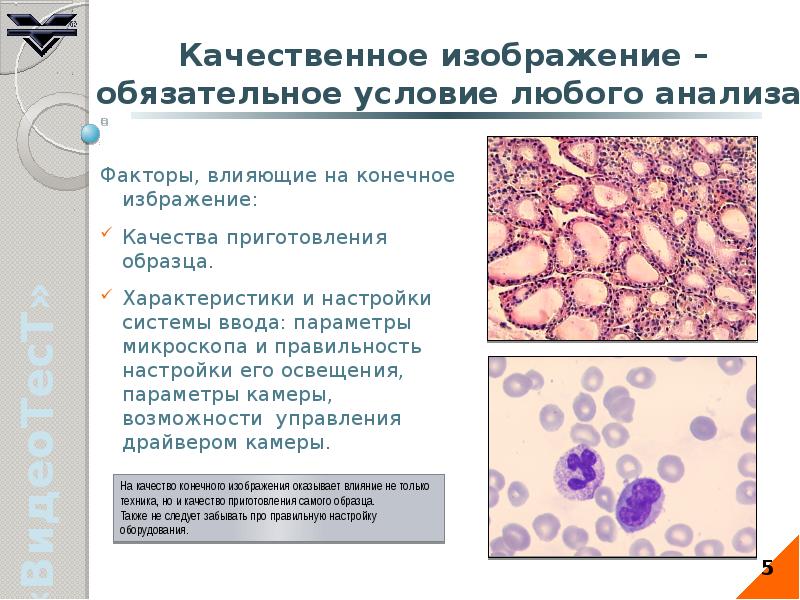 Система анализа изображений