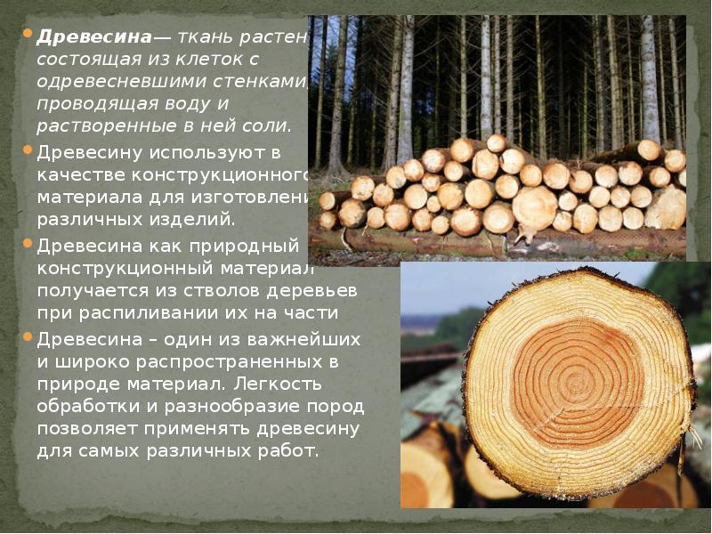 Благодаря дереву свойств. Презентация на тему древесина. Сообщение о древесине. Породы древесины. Доклад о древесине.