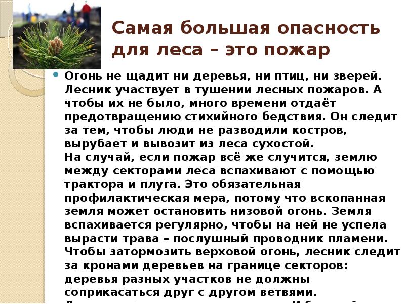 Лесник описание