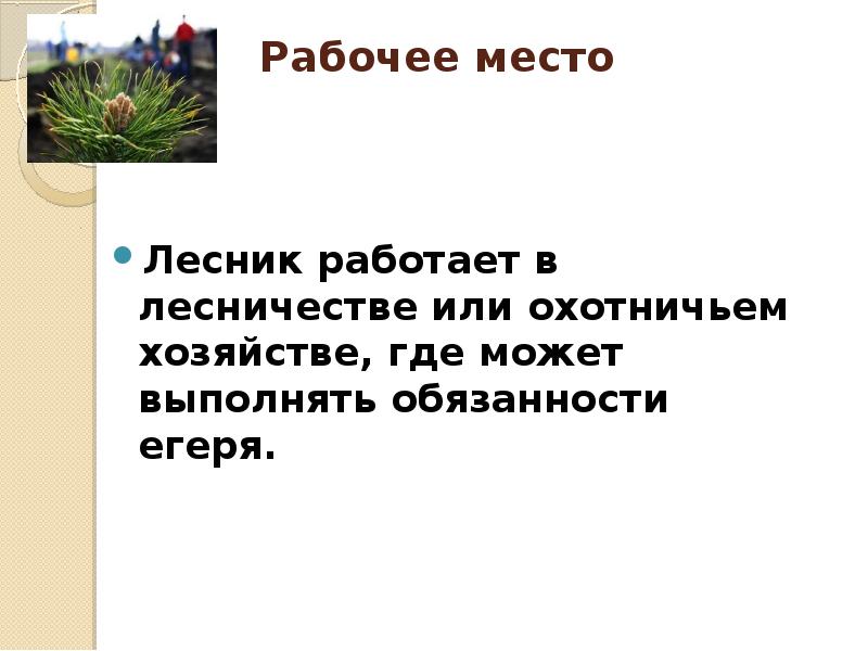 Текст маленький лесовод. Рабочее место лесничего. Лесник рабочее место. Где работает Лесовод. Лесник- место, где 3 класс.