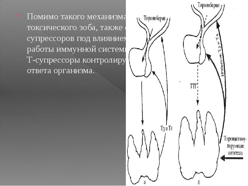 Диффузно токсический зоб презентация