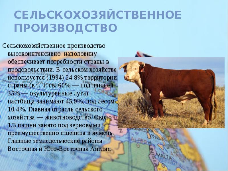 Сельскохозяйственное производство Сельскохозяйственное производство высокоинтенсивно, наполовину обеспечивает потребности страны в продовольствии.