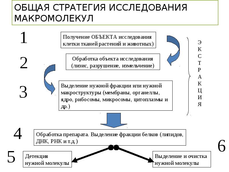 Стратегия исследования. Gets анализ презентация. Стратегия обследования Грибова.