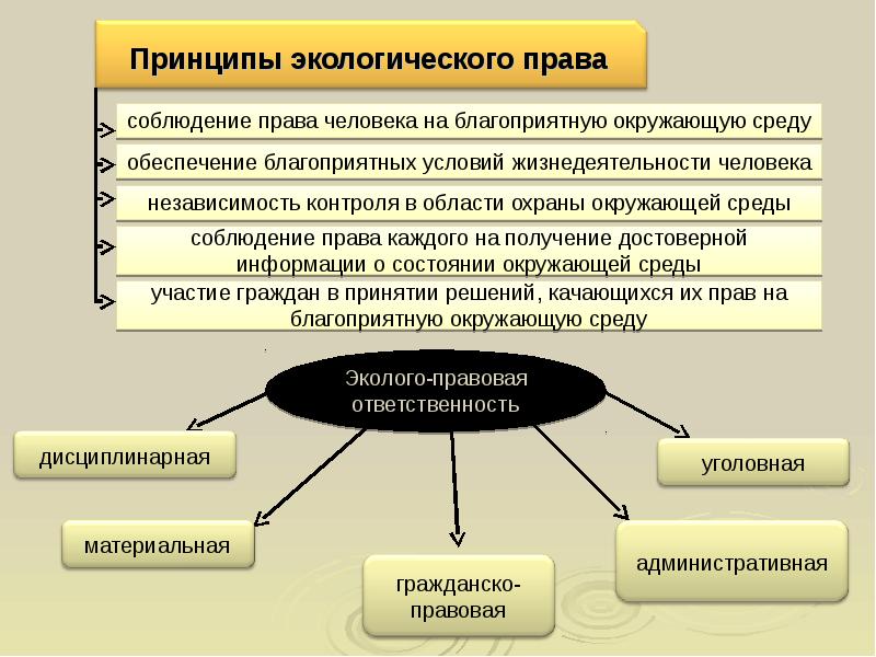 Правовые принципы презентация