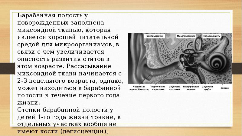 Схема барабанной полости