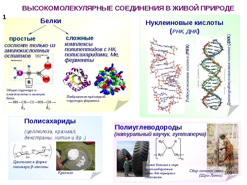 Классификация полимеров презентация