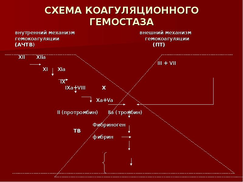 Схема гемостаза у детей