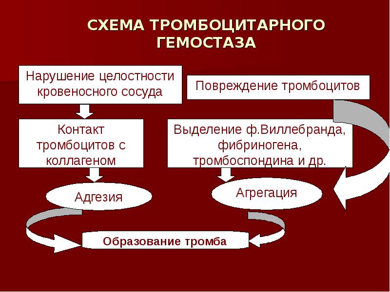 Первичный гемостаз схема