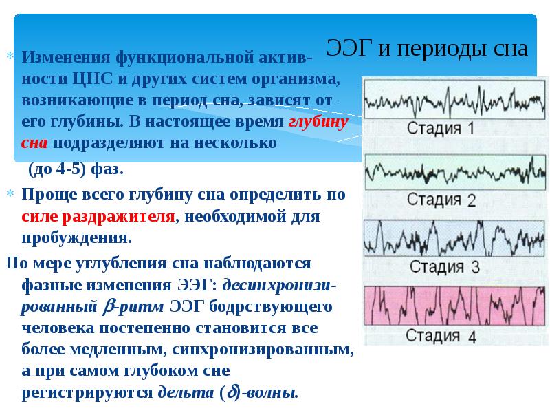 Ээг сна. Электроэнцефалограмма сна. ЭЭГ при засыпании. ЭЭГ при Глубоком сне. Эпоха ЭЭГ.