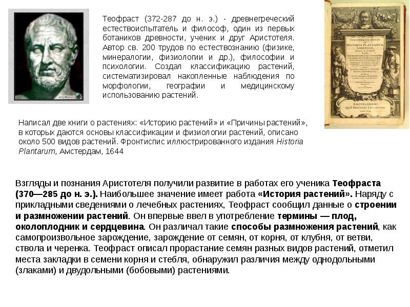 Отец ботаники теофраст ученик аристотеля. До н. Греческий ученый теофраст. Теофраст (372-287 гг. До н.
