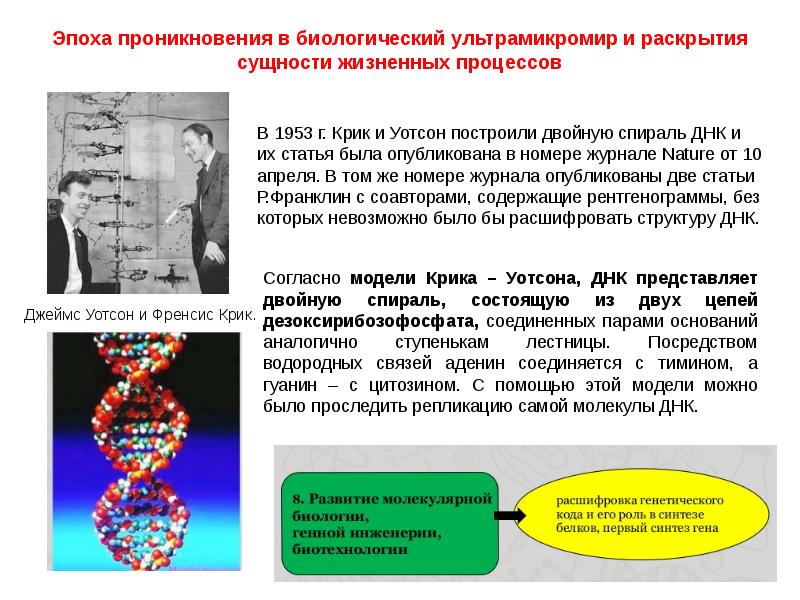 Проект на тему роль биологических исследований в современной медицине